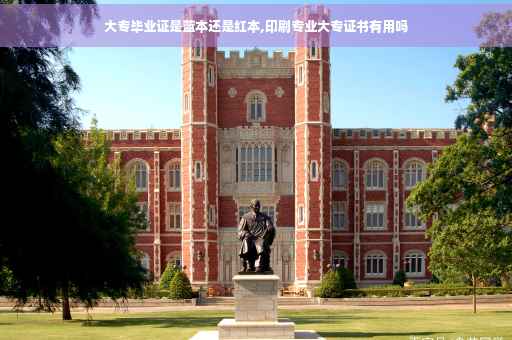 大专毕业证是蓝本还是红本,印刷专业大专证书有用吗
