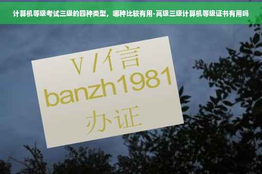 计算机等级考试三级的四种类型，哪种比较有用-高级三级计算机等级证书有用吗