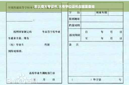 怎么查大专证书,大专学位证书在哪里查询