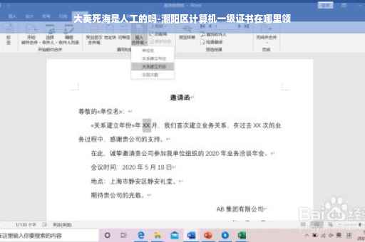 大英死海是人工的吗-潮阳区计算机一级证书在哪里领