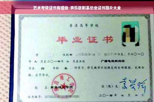 艺术考级证书有哪些-声乐歌剧系毕业证书图片大全