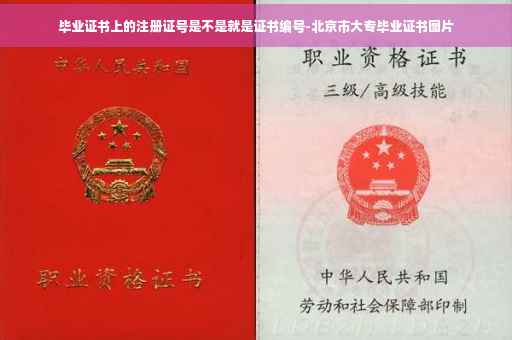 毕业证书上的注册证号是不是就是证书编号-北京市大专毕业证书图片
