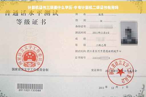 计算机证书三级要什么学历-中专计算机二级证书有用吗