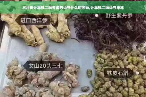 三月份计算机二级考试的证书什么时候领,计算机二级证书半年