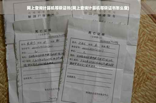 网上查询计算机等级证书(网上查询计算机等级证书怎么查)
