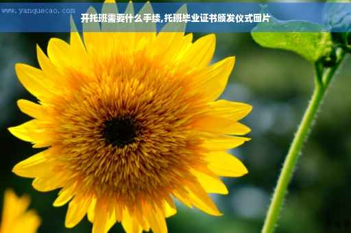 开托班需要什么手续,托班毕业证书颁发仪式图片