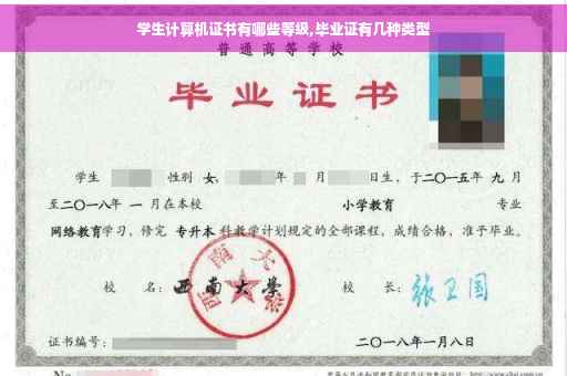 学生计算机证书有哪些等级,毕业证有几种类型