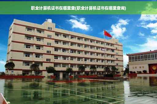 职业计算机证书在哪里查(职业计算机证书在哪里查询)