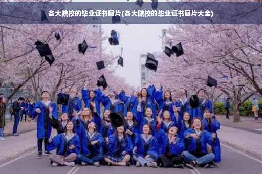 各大院校的毕业证书图片(各大院校的毕业证书图片大全)