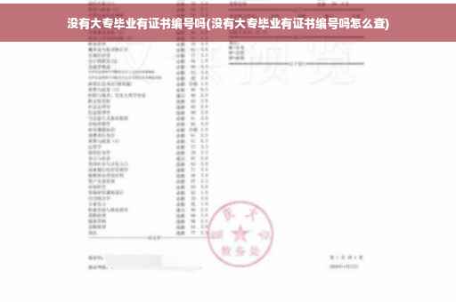 没有大专毕业有证书编号吗(没有大专毕业有证书编号吗怎么查)