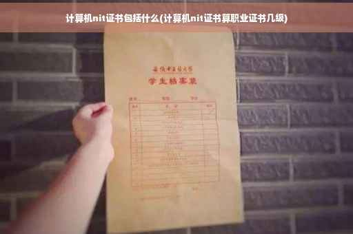 计算机nit证书包括什么(计算机nit证书算职业证书几级)