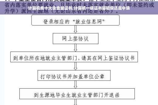 计算机类十大含金量证书,计算机一级证书算初级还是中级