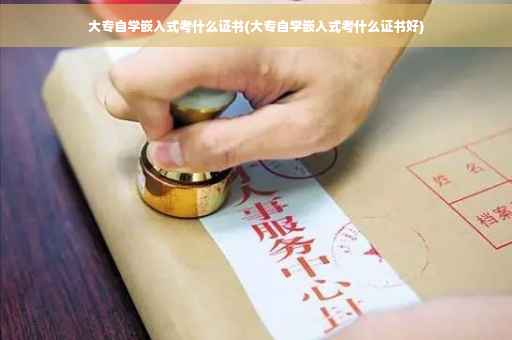 大专自学嵌入式考什么证书(大专自学嵌入式考什么证书好)