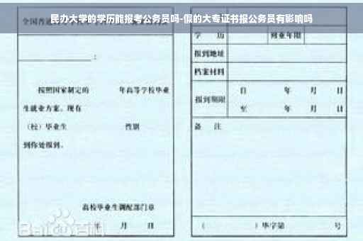 民办大学的学历能报考公务员吗-假的大专证书报公务员有影响吗