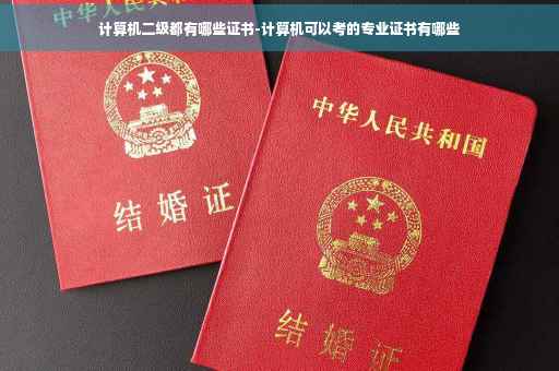 计算机二级都有哪些证书-计算机可以考的专业证书有哪些
