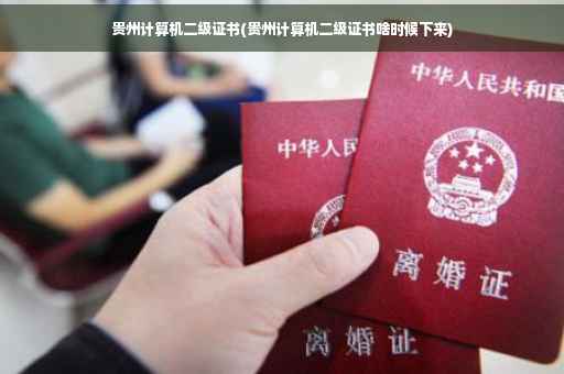 贵州计算机二级证书(贵州计算机二级证书啥时候下来)