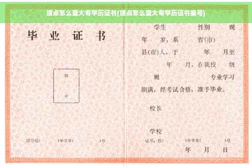 绩点怎么查大专学历证书(绩点怎么查大专学历证书编号)