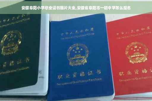 安徽阜阳小学毕业证书图片大全,安徽省阜阳市一初中学怎么报名