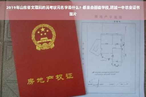 2019年山东省文理科的高考状元名字是什么？都来自那些学校,肥城一中毕业证书图片