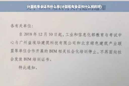 计算机专业证书什么样(计算机专业证书什么样的好)
