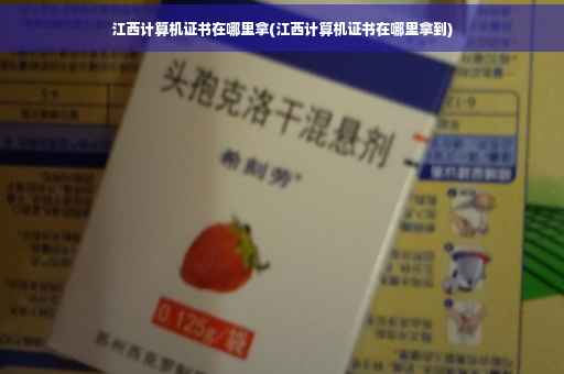 江西计算机证书在哪里拿(江西计算机证书在哪里拿到)