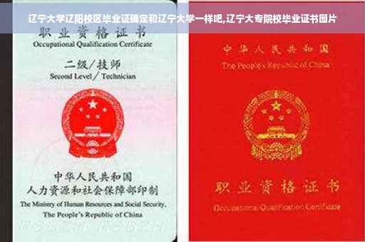 辽宁大学辽阳校区毕业证确定和辽宁大学一样吧,辽宁大专院校毕业证书图片