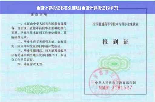 全国计算机证书怎么描述(全国计算机证书样子)