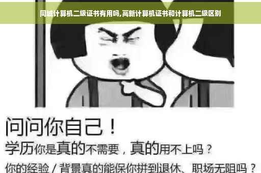 同城计算机二级证书有用吗,高新计算机证书和计算机二级区别