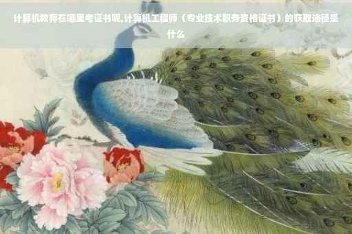 计算机教师在哪里考证书呢,计算机工程师(专业技术职务资格证书)的获取途径是什么 计算机教师在哪里考证书呢,计算机工程师(专业技术职务资格证书)的获取途径是什么