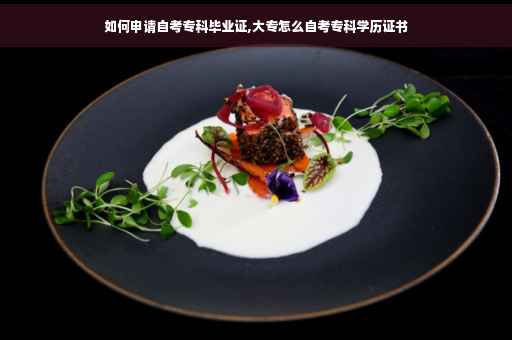 如何申请自考专科毕业证,大专怎么自考专科学历证书