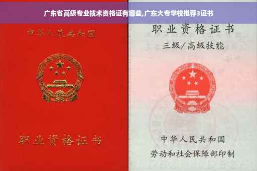 广东省高级专业技术资格证有哪些,广东大专学校推荐3证书