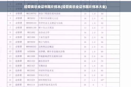 经管类毕业证书图片样本(经管类毕业证书图片样本大全)