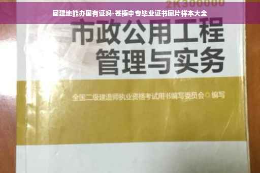 回建地能办国有证吗-苍梧中专毕业证书图片样本大全
