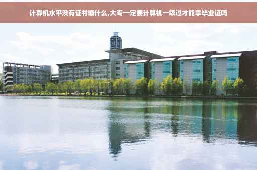 计算机水平没有证书填什么,大专一定要计算机一级过才能拿毕业证吗