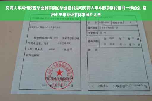 河海大学常州校区毕业时拿到的毕业证书是和河海大学本部拿到的证书一样的么-常州小学毕业证书样本图片大全