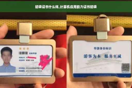 初级证书什么样,计算机应用能力证书初级