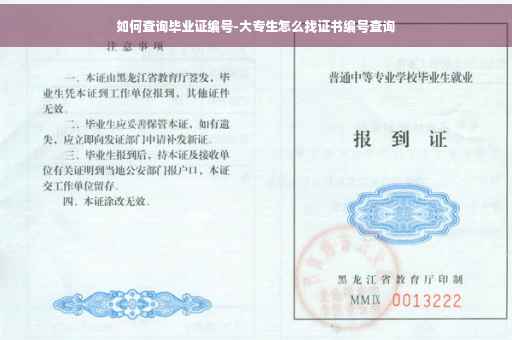 如何查询毕业证编号-大专生怎么找证书编号查询