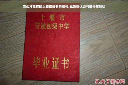 怎么才能在网上查询证书的编号,车辆登记证书编号在那找 怎么才能在网上查询证书的编号,车辆登记证书编号在那找