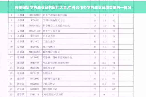 在美国留学的毕业证书图片大全,中外合作办学的毕业证和普通的一样吗