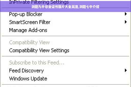 浏阳九中毕业证书图片大全高清,浏阳七中介绍