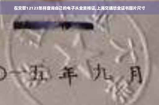 在交管12123怎样查询自己的电子从业资格证,上海交通毕业证书图片尺寸