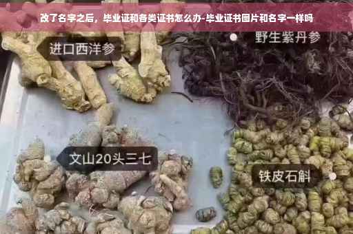 改了名字之后，毕业证和各类证书怎么办-毕业证书图片和名字一样吗