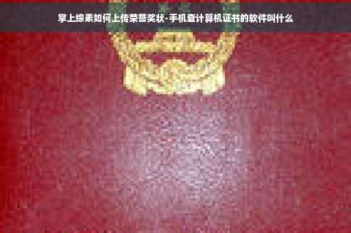 掌上综素如何上传荣誉奖状-手机查计算机证书的软件叫什么