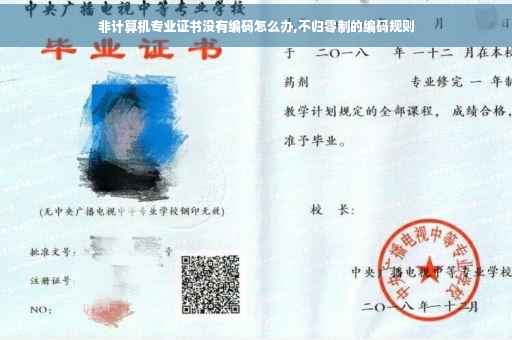 非计算机专业证书没有编码怎么办,不归零制的编码规则