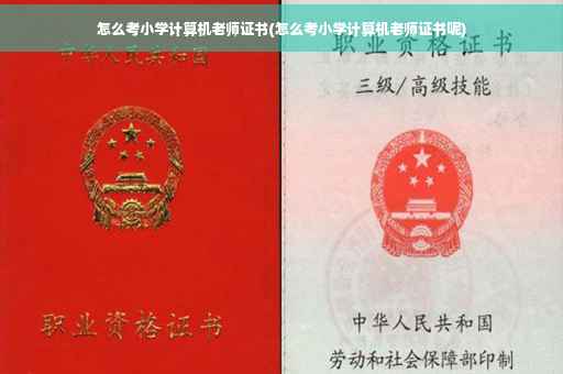 怎么考小学计算机老师证书(怎么考小学计算机老师证书呢)