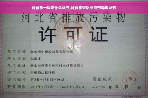 计算机一级是什么证书,计算机类职业资格等级证书