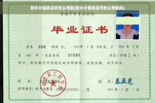 职中计算机证书怎么考取(职中计算机证书怎么考取的)