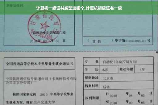 计算机一级证书类型选哪个,计算机初级证书一级