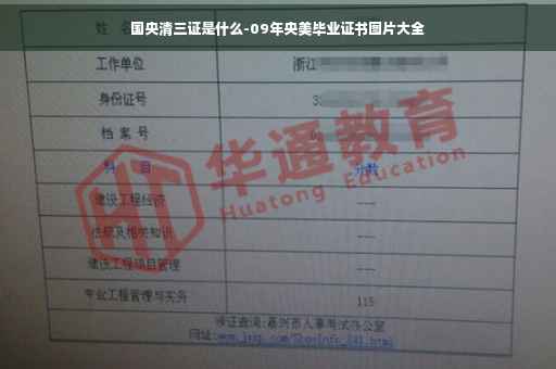 国央清三证是什么-09年央美毕业证书图片大全