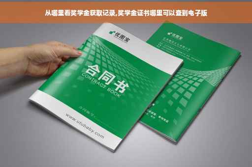 从哪里看奖学金获取记录,奖学金证书哪里可以查到电子版